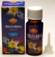 Milflores Fragrance Oil